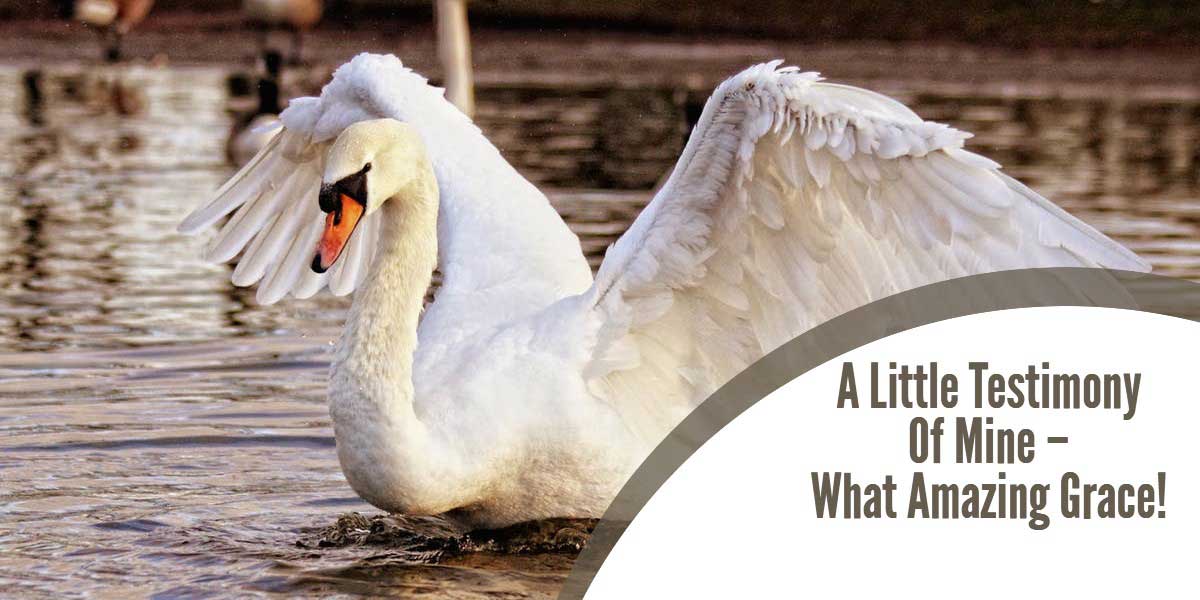 A Little Testimony Of Mine – What Amazing Grace!
