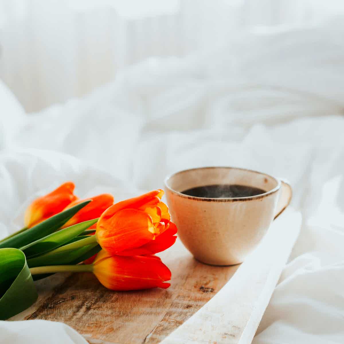 Morning Prayers And Meditation To Start Your Day Right